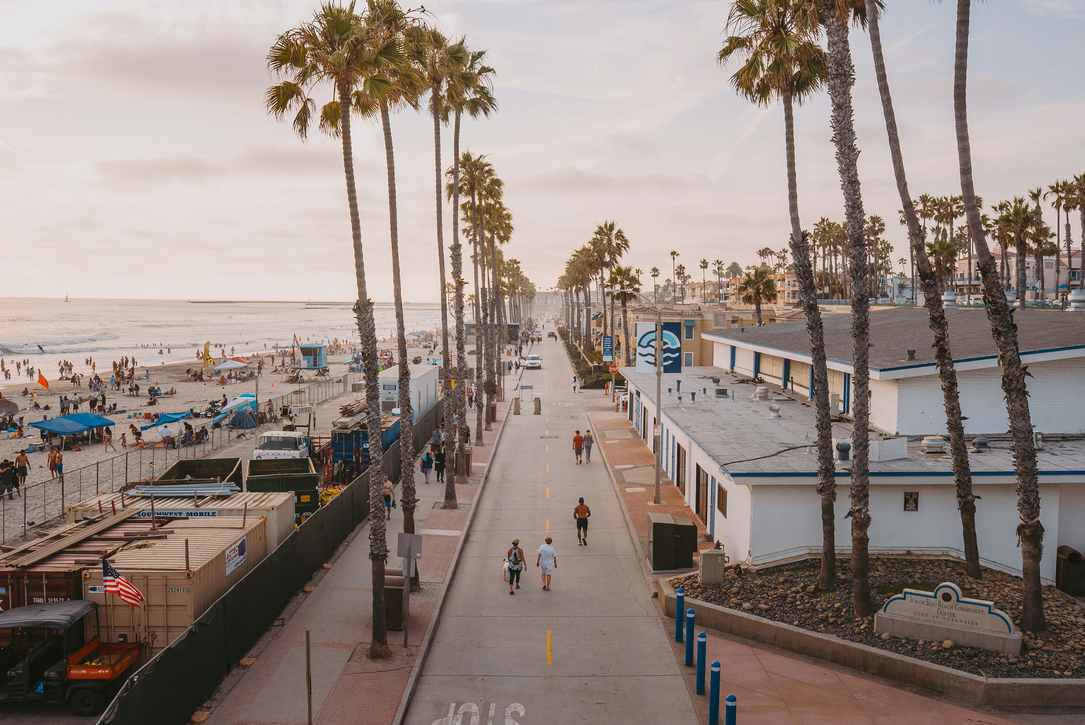 a view of a beach with a lot of palm trees