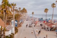 A busy seaside boardwalk lined with palm trees and vibrant umbrellas set for beachgoers.