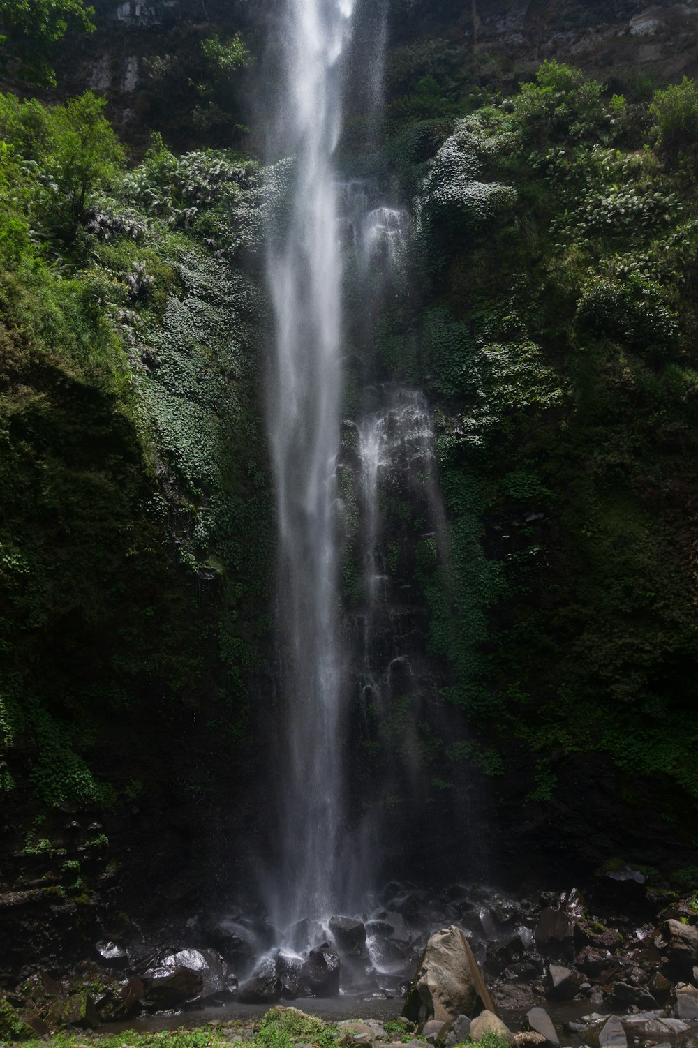 a large waterfall in the middle of a forest