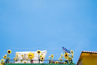 A vibrant green rooftop garden flourishing under a bright sky.