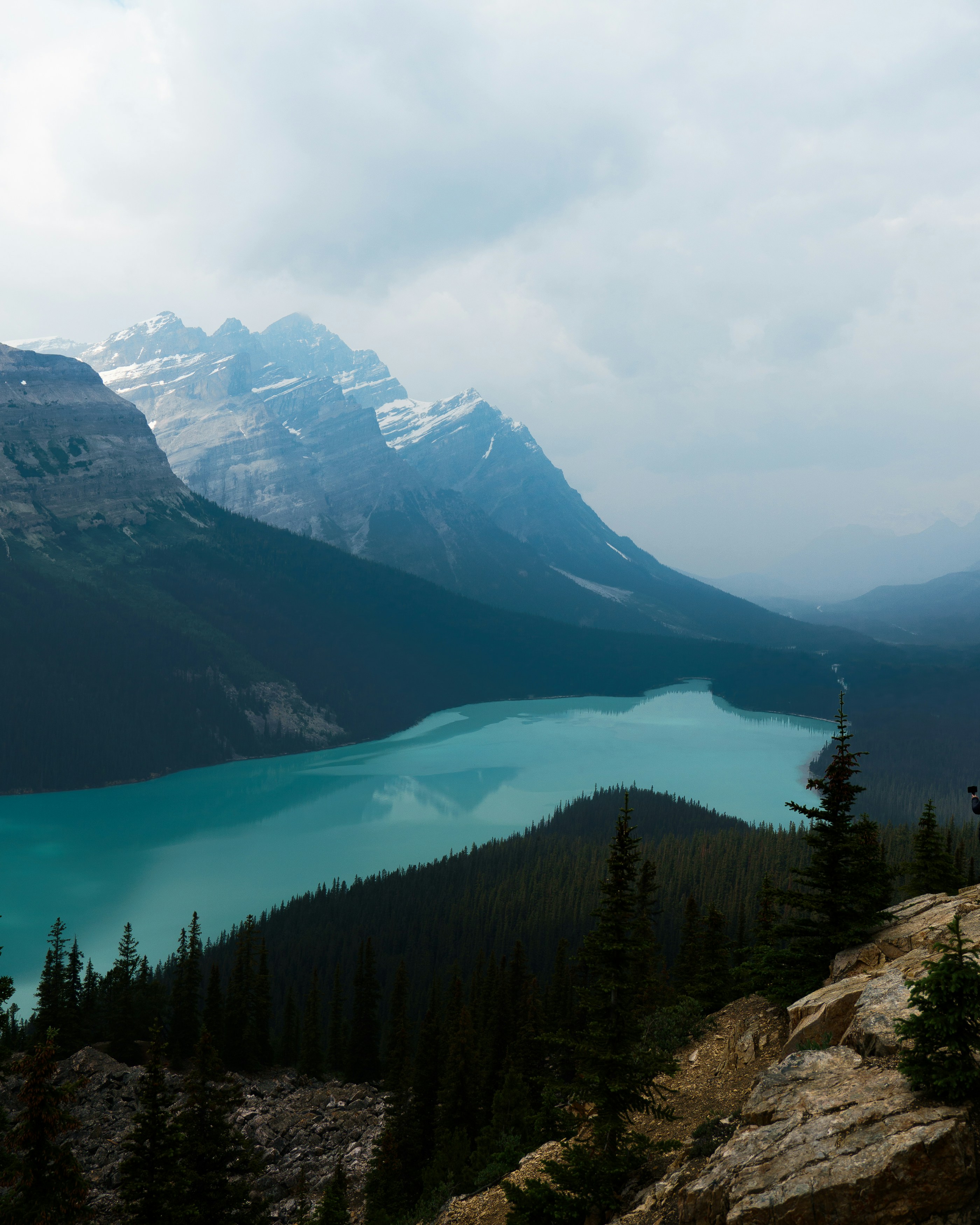 Photo by tfrankcreations