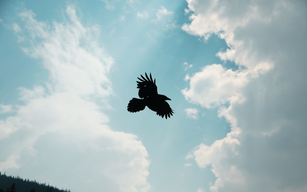 a black bird flying in the sky with clouds