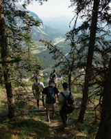 Participants enjoying a low-carbon footprint hike, pausing to admire a panoramic view of the valley.