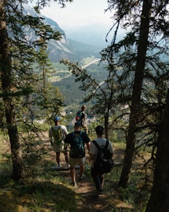 A group of hikers descends a forested trail with tall trees on either side, overlooking a scenic valley with distant mountains. The light filters through the canopy, casting dappled shadows on the path. The hikers carry backpacks and are casually dressed for an outdoor adventure.