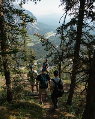 A group of hikers descends a forested trail with tall trees on either side, overlooking a scenic valley with distant mountains. The light filters through the canopy, casting dappled shadows on the path. The hikers carry backpacks and are casually dressed for an outdoor adventure.