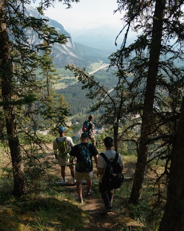 A group of hikers descends a forested trail with tall trees on either side, overlooking a scenic valley with distant mountains. The light filters through the canopy, casting dappled shadows on the path. The hikers carry backpacks and are casually dressed for an outdoor adventure.