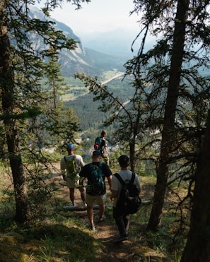 A group of friends enjoying a scenic hike on a sunlit forest trail