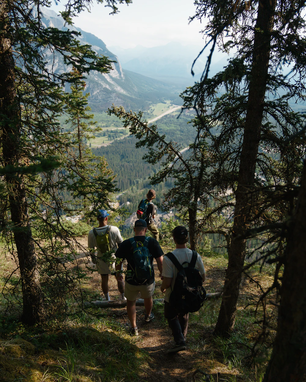 Guide leading a group of hikers through a mountain forest