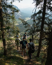 A group of hikers descends a forested trail with tall trees on either side, overlooking a scenic valley with distant mountains. The light filters through the canopy, casting dappled shadows on the path. The hikers carry backpacks and are casually dressed for an outdoor adventure.