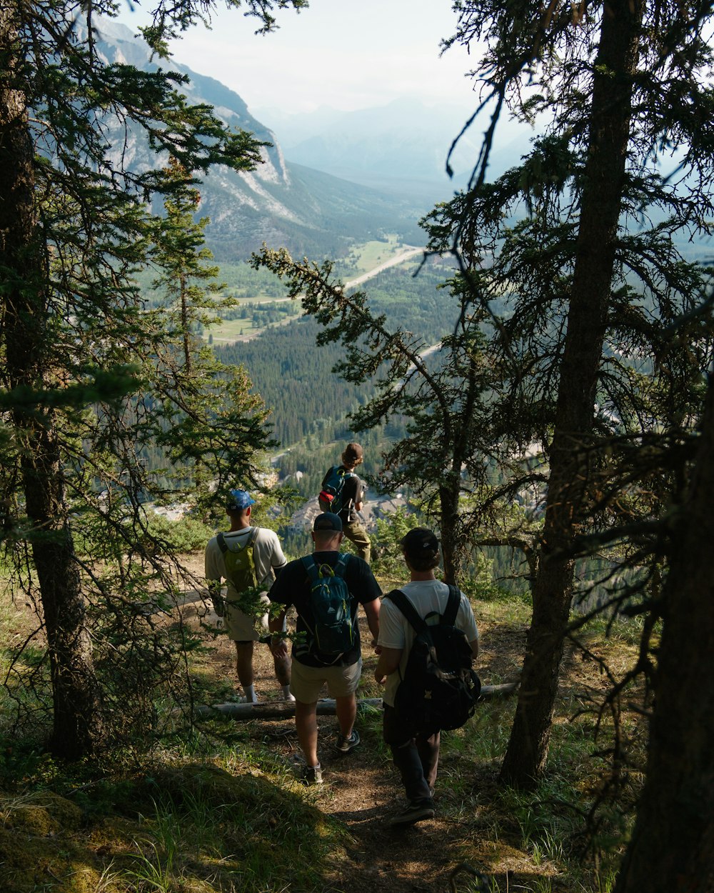 a group of people hiking up a trail in the mountains