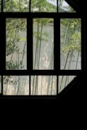 Bamboo plants are visible through a window with dark framing. The tall, slender bamboo stalks are set against a light-colored wall in the background.