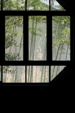 Bamboo plants are visible through a window with dark framing. The tall, slender bamboo stalks are set against a light-colored wall in the background.