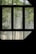Bamboo plants are visible through a window with dark framing. The tall, slender bamboo stalks are set against a light-colored wall in the background.