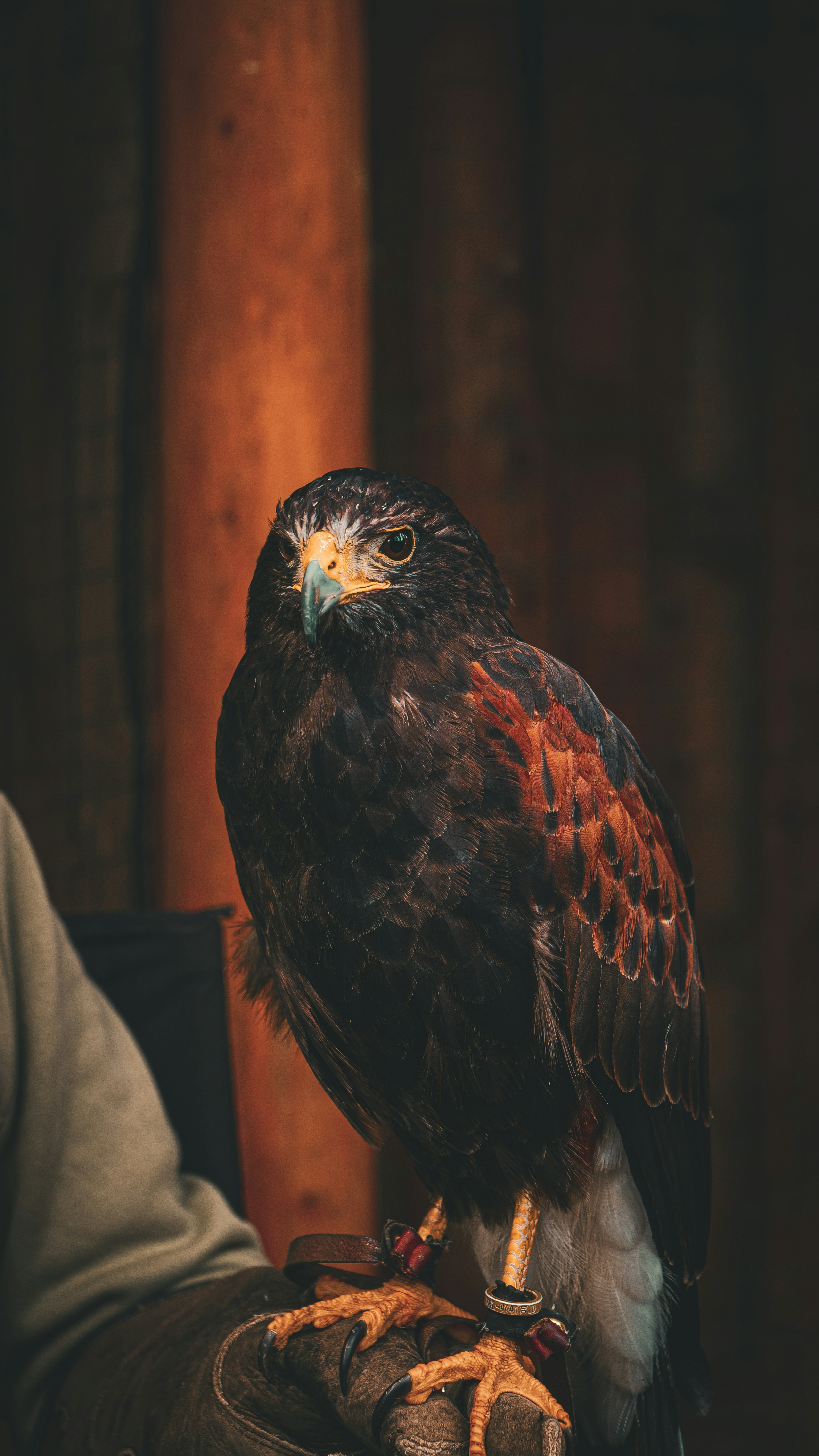 Photo by daniashaeeb