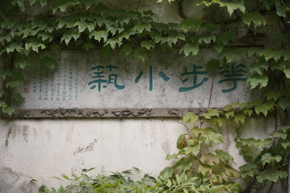 Un letrero en una pared cubierta de enredaderas