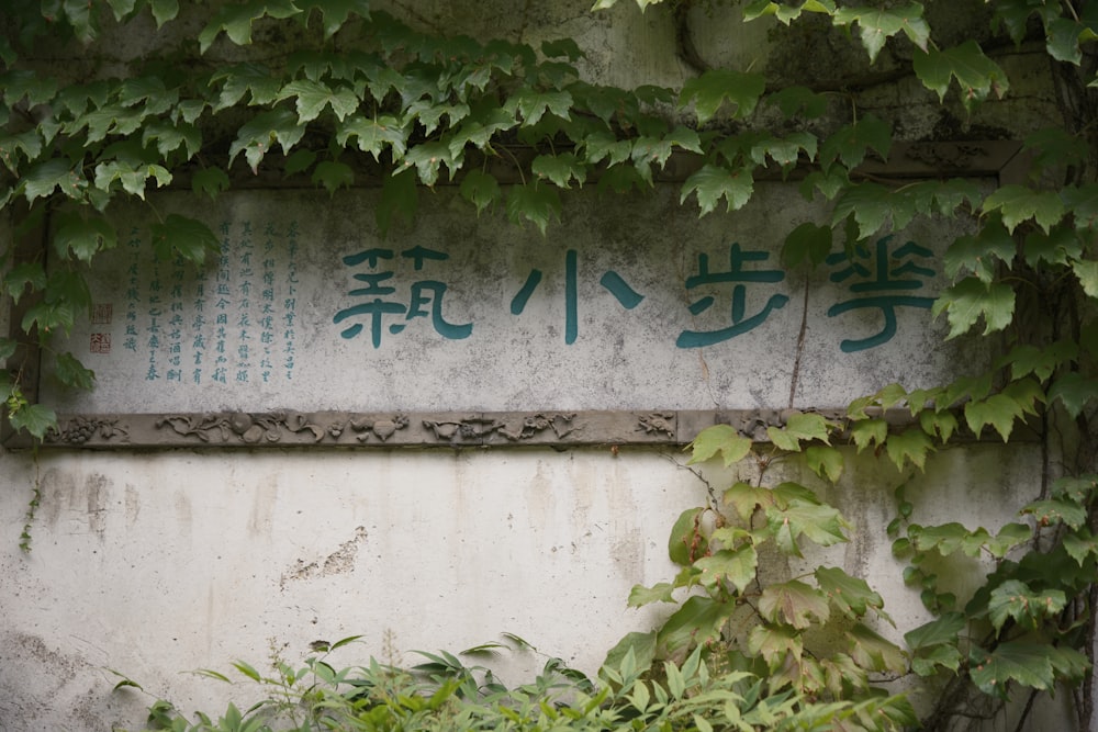 a sign on a wall covered in vines