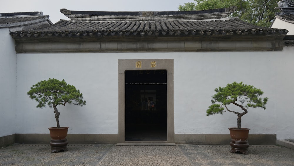 two bonsai trees in pots in front of a building