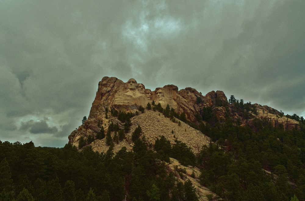 a very tall mountain with a lot of trees on top of it