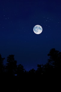 A serene moonlit night sky with a full bright moon and twinkling stars.