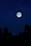 A serene night sky filled with stars and a glowing full moon.