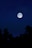 A serene night sky filled with stars and a glowing full moon.