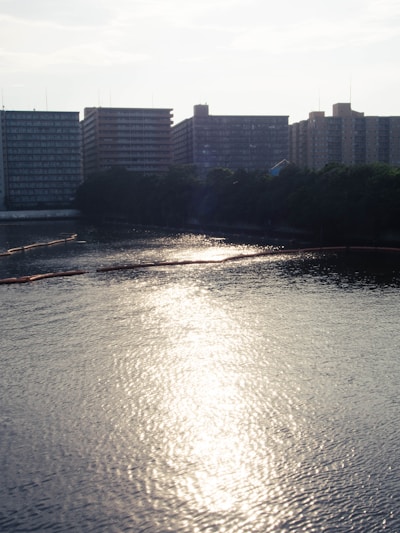 A serene urban landscape featuring tall apartment buildings silhouetted against a bright sky. The reflection of sunlight shimmers on a tranquil body of water, with a row of trees lining the waterfront.