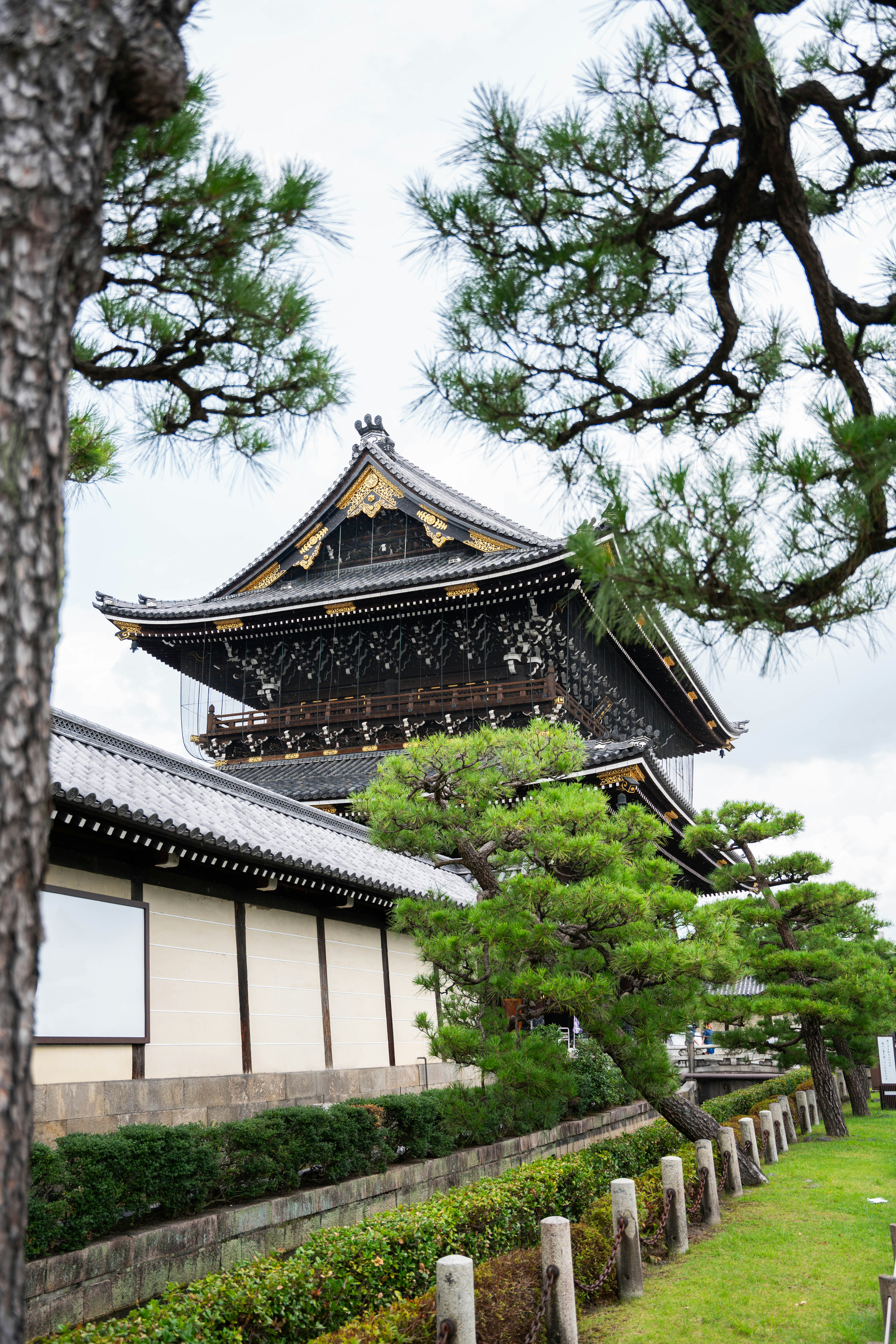 Photo by davidemrich