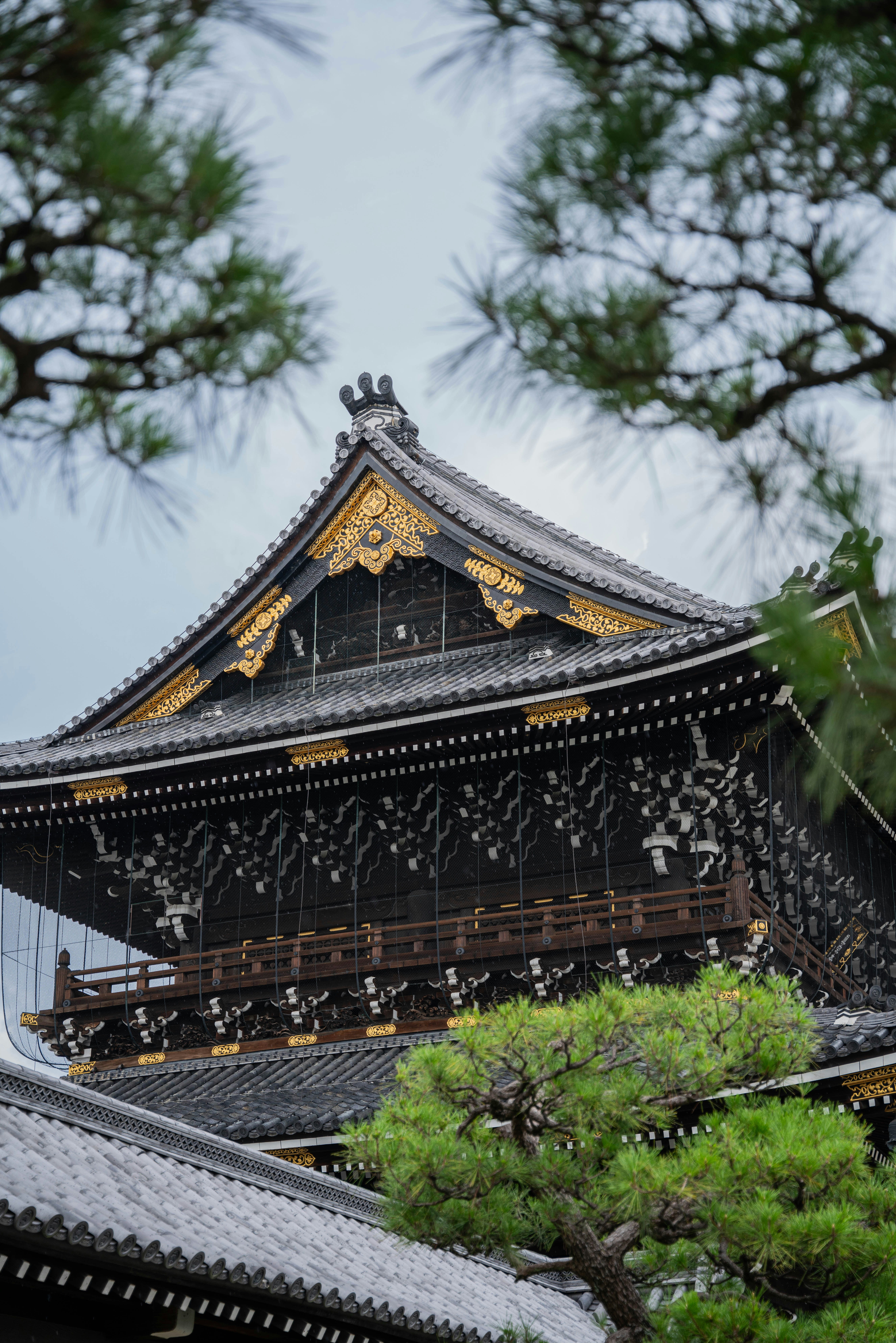 Photo by davidemrich