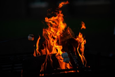 A vibrant campfire scene with kids roasting marshmallows and sharing stories.