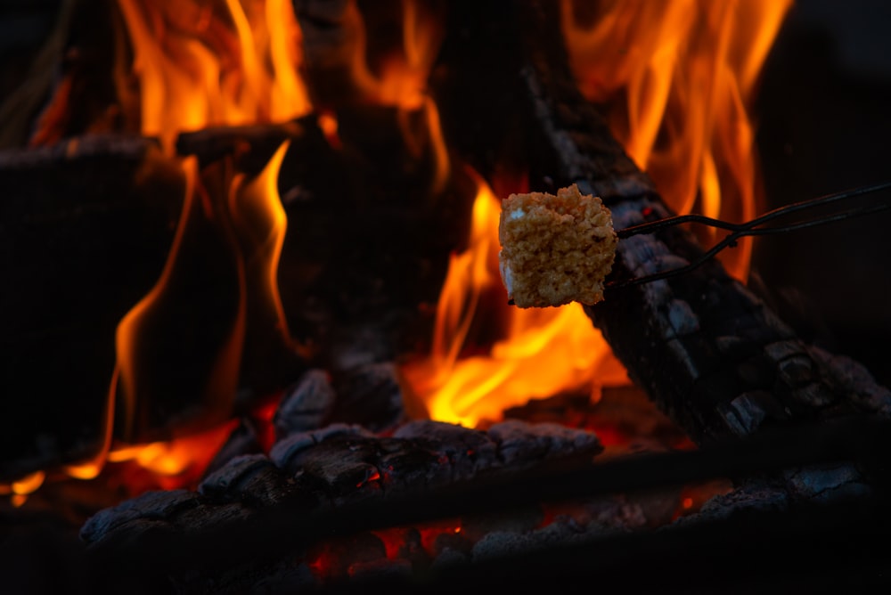 a close up of food on a stick in front of a fire