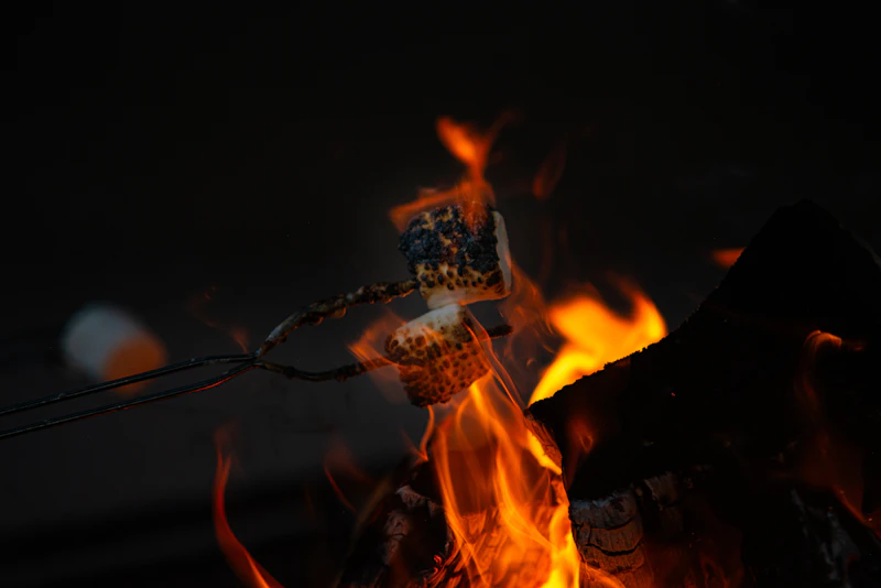 Children gathered around a glowing campfire at dusk