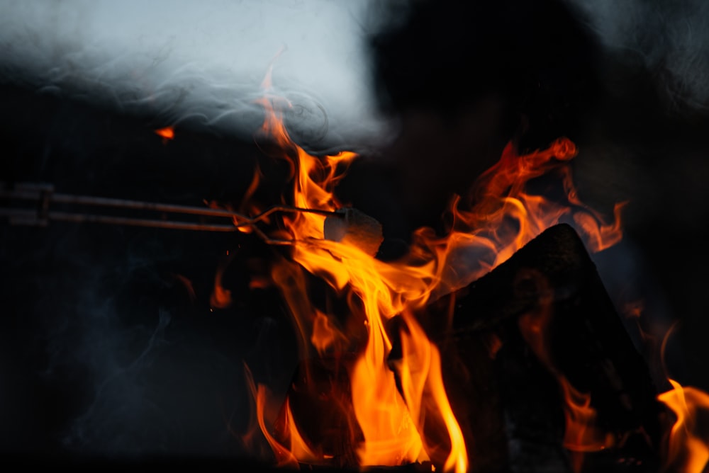 a person holding a stick in front of a fire