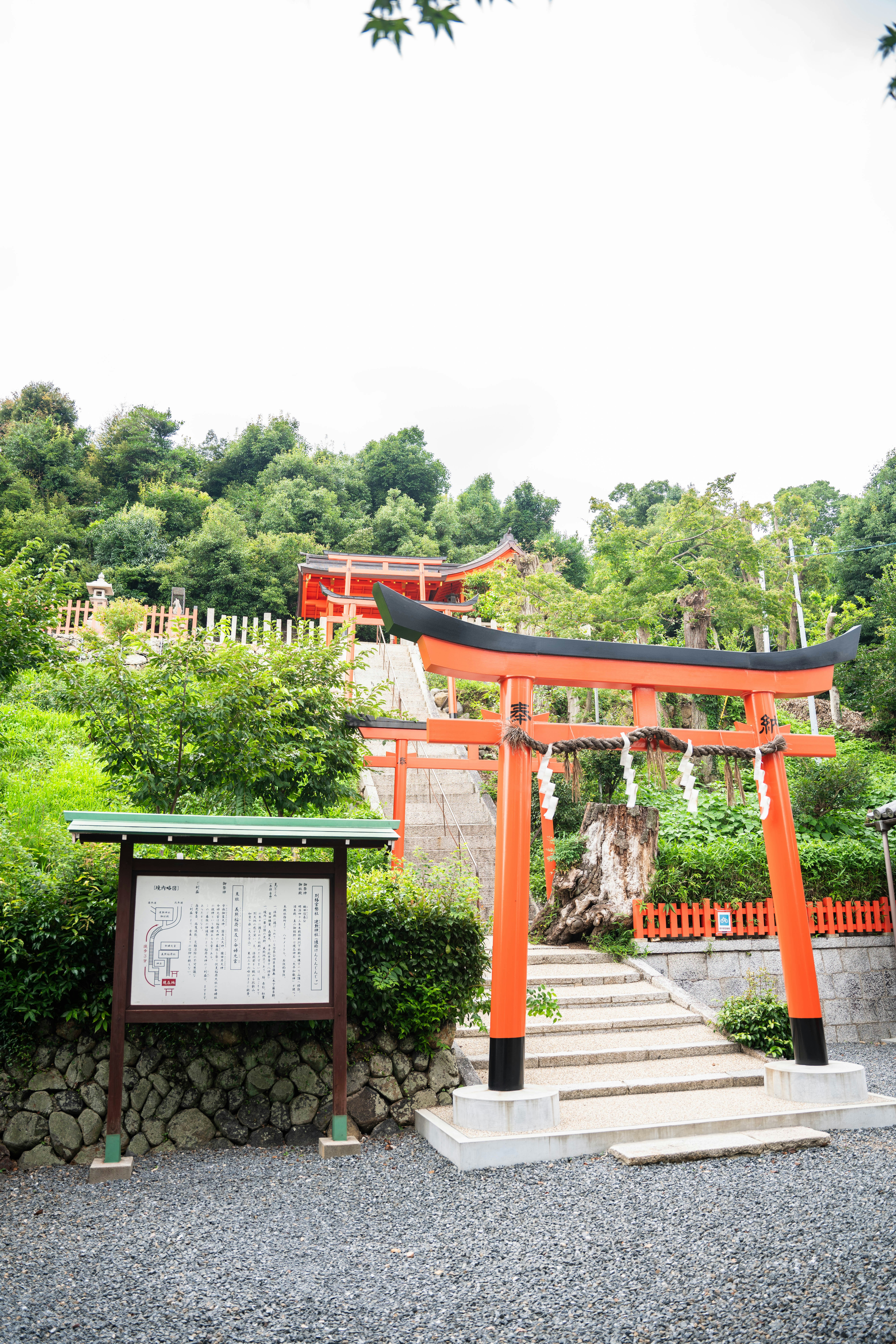 Photo by davidemrich