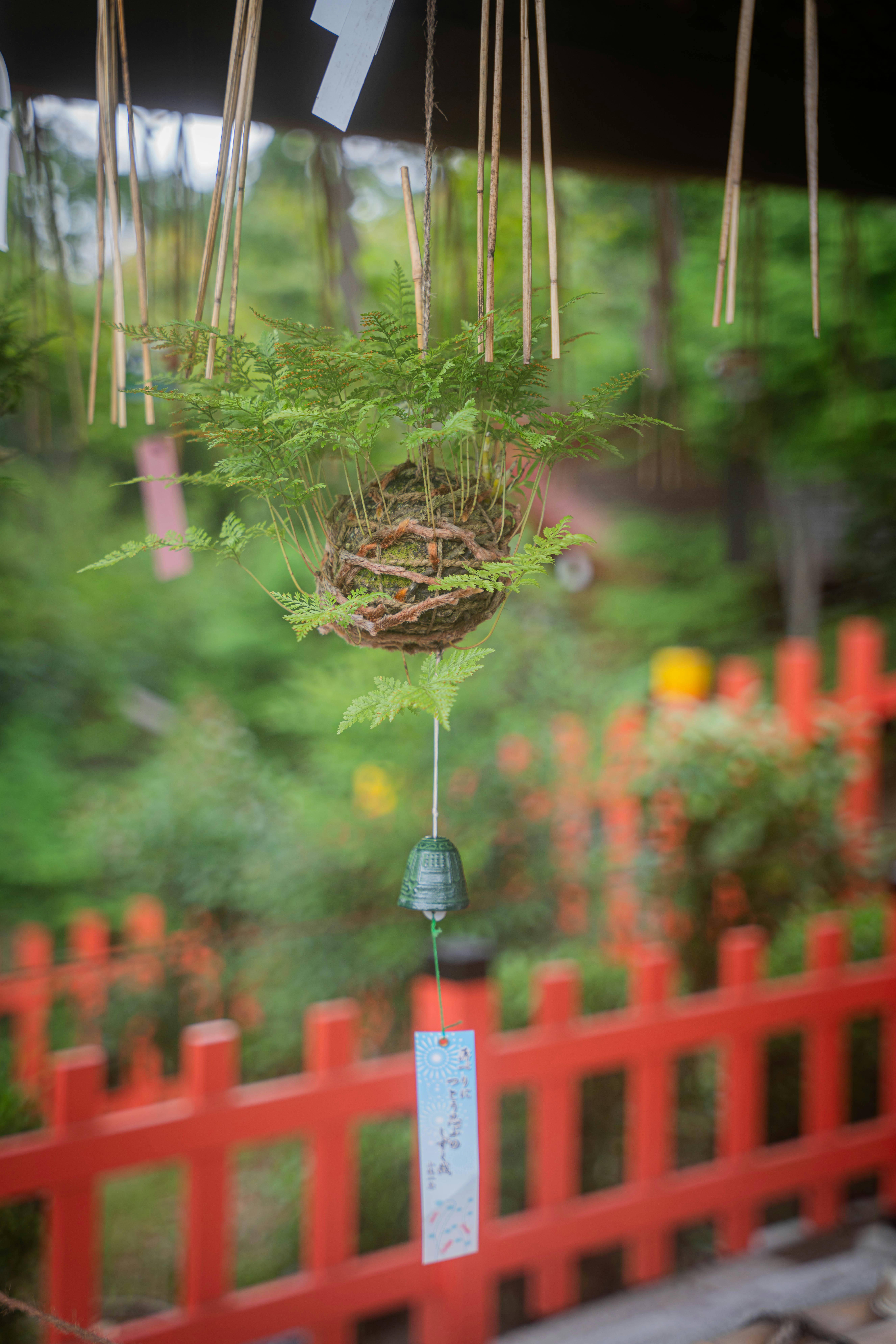 Photo by davidemrich