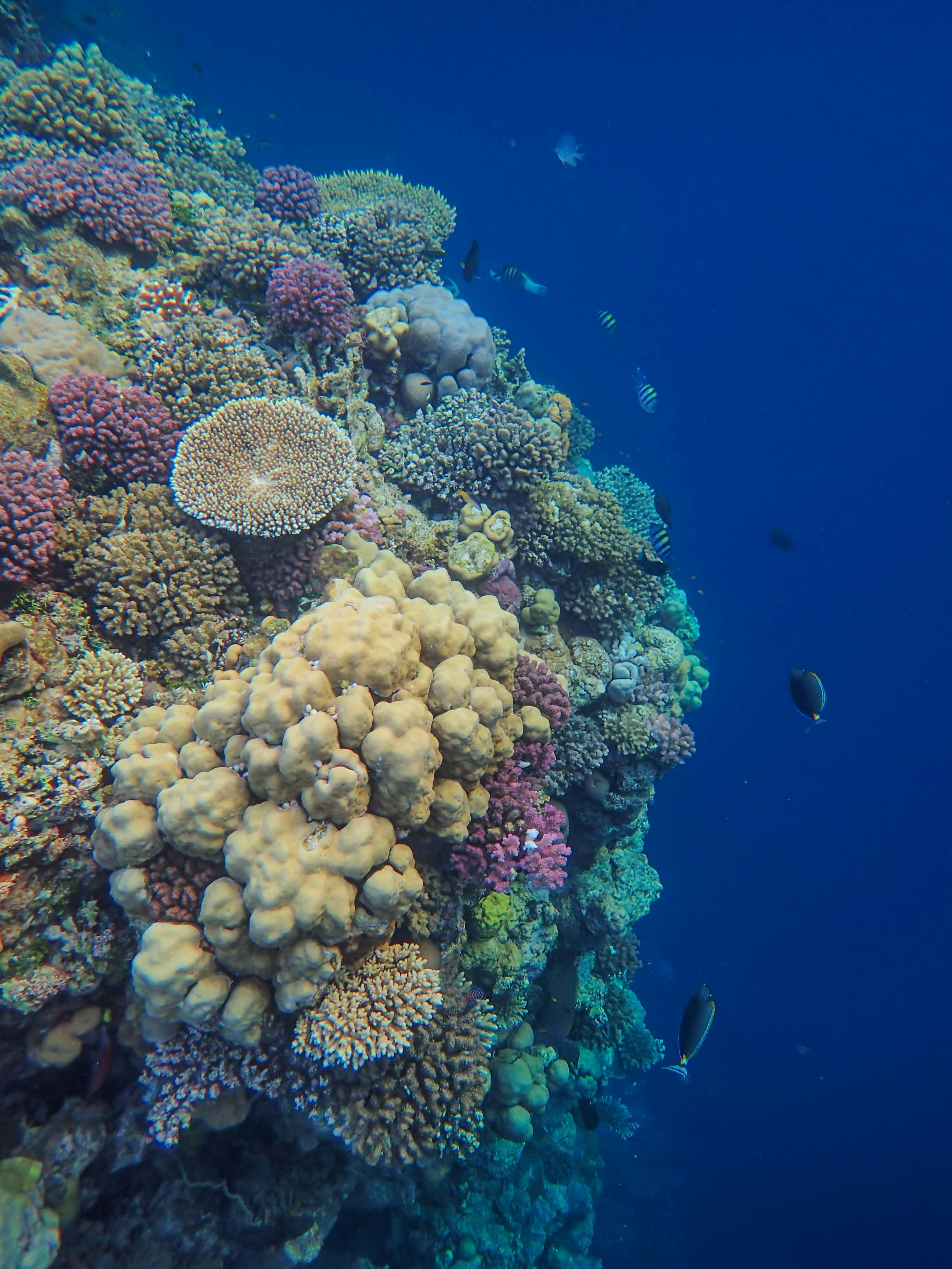 Photo by francesco_ungaro