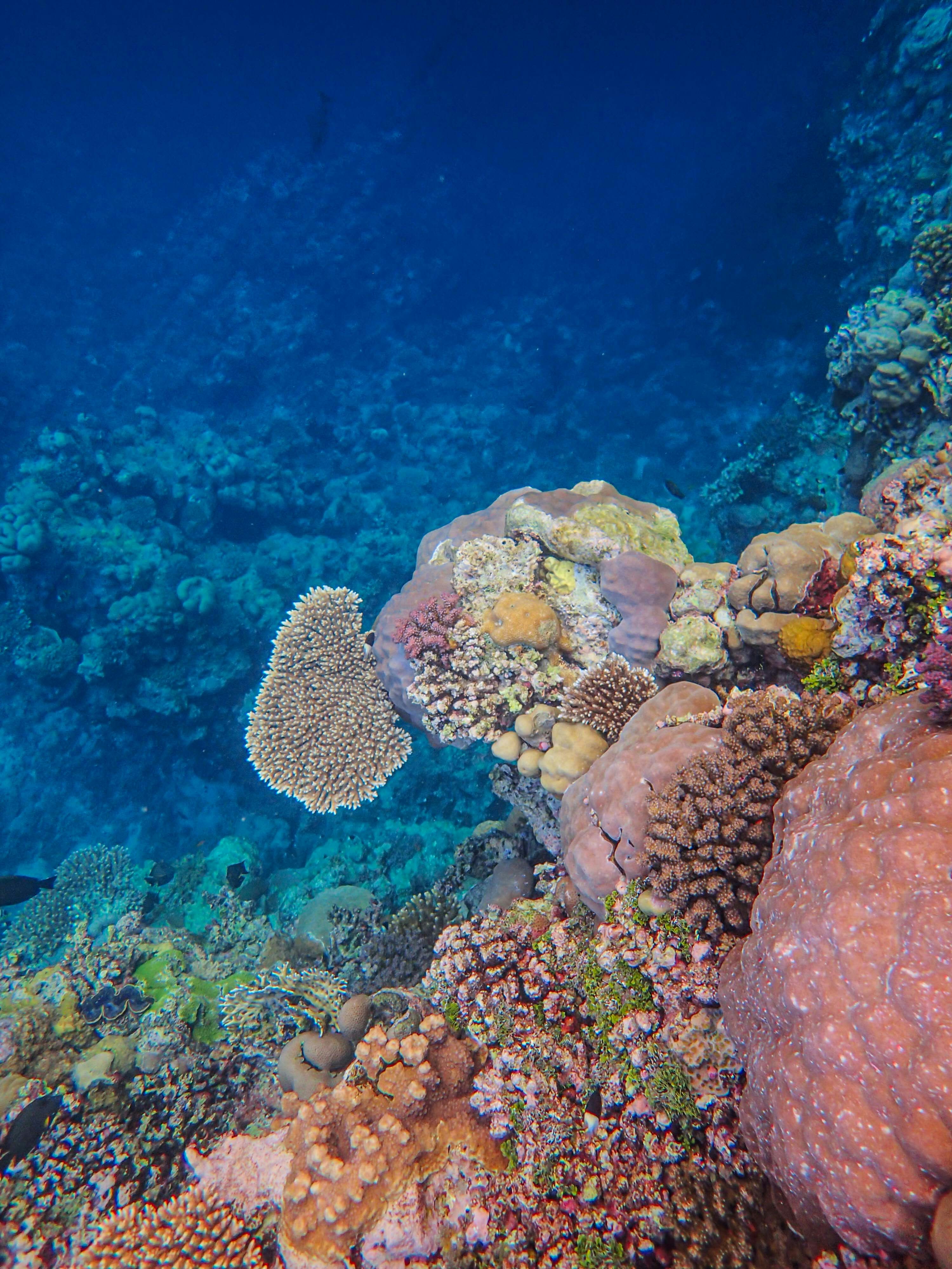 Photo by francesco_ungaro