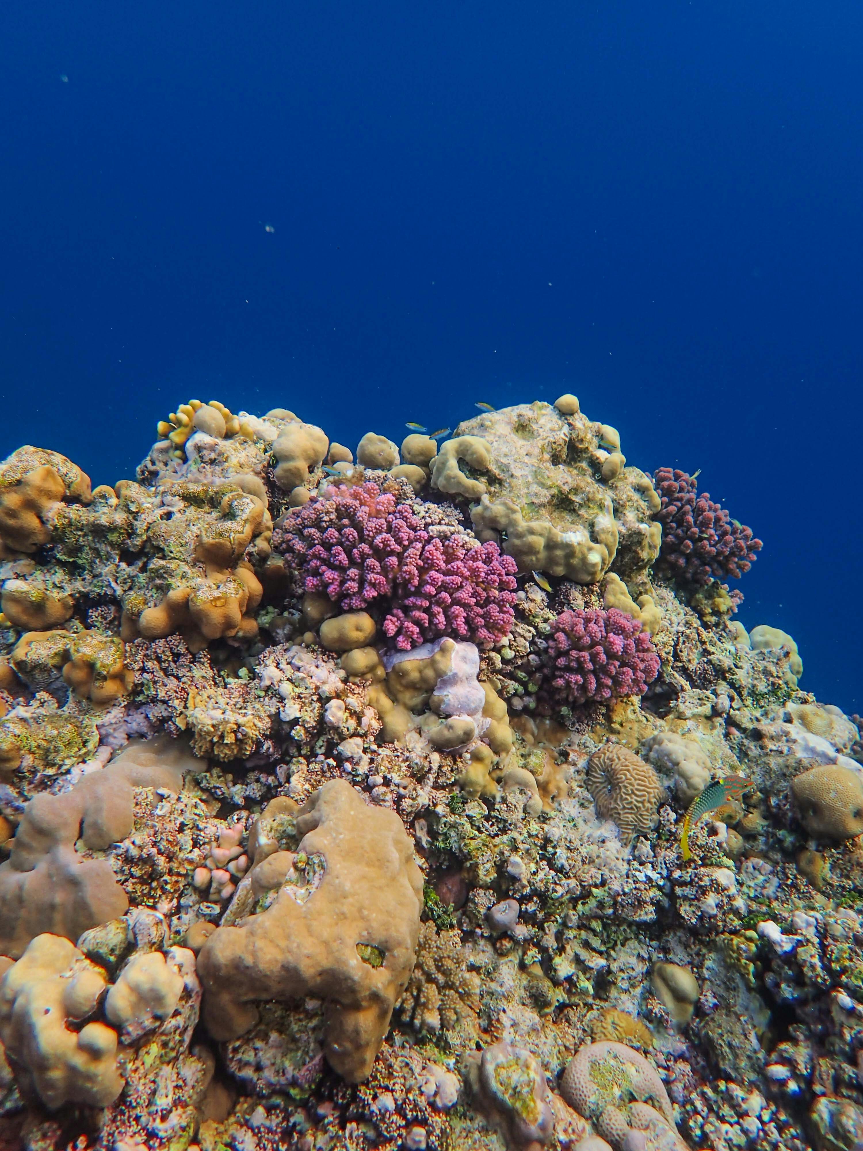 Imagen de unsplash de Francesco Ungaro