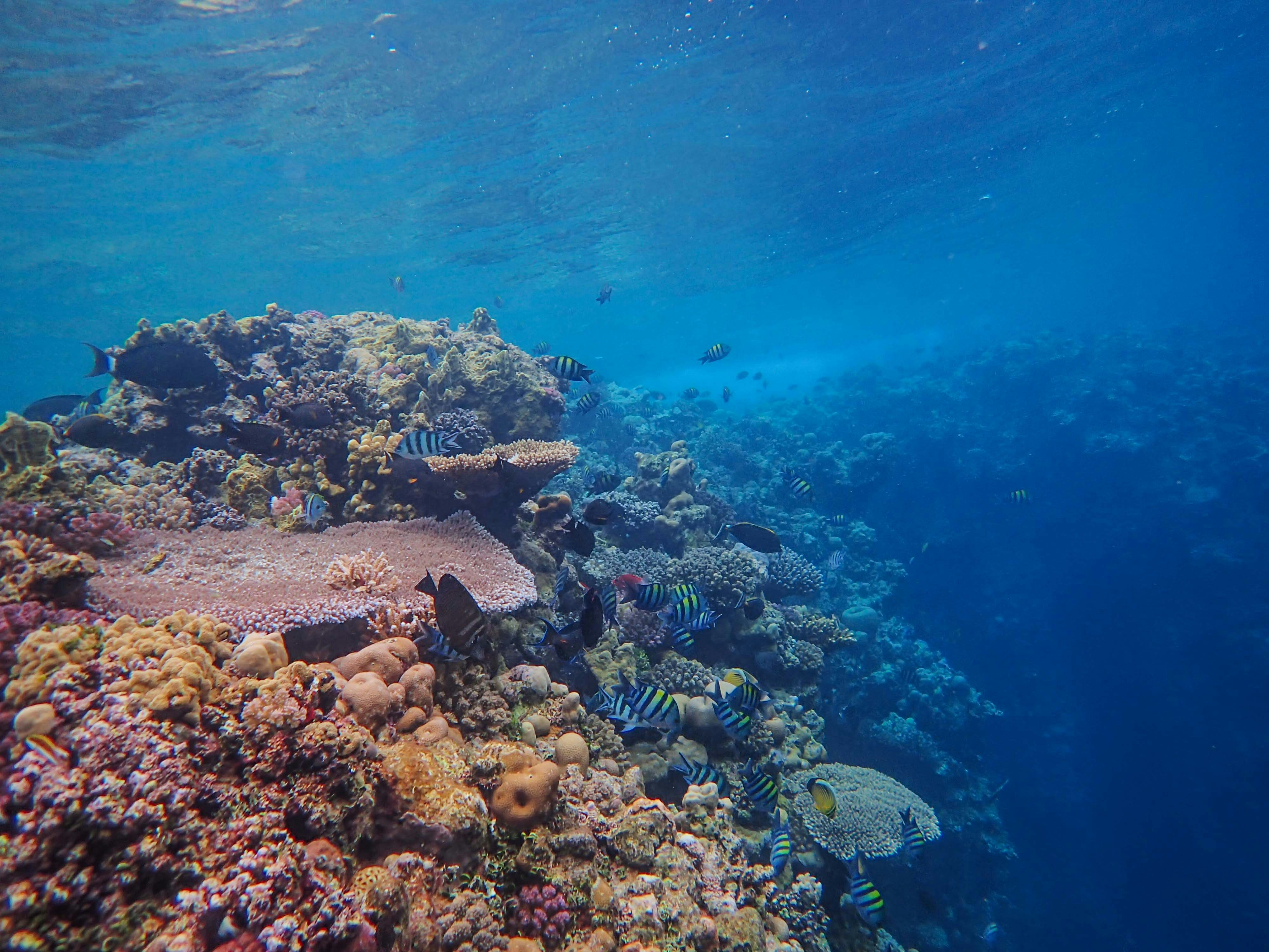 Photo by francesco_ungaro