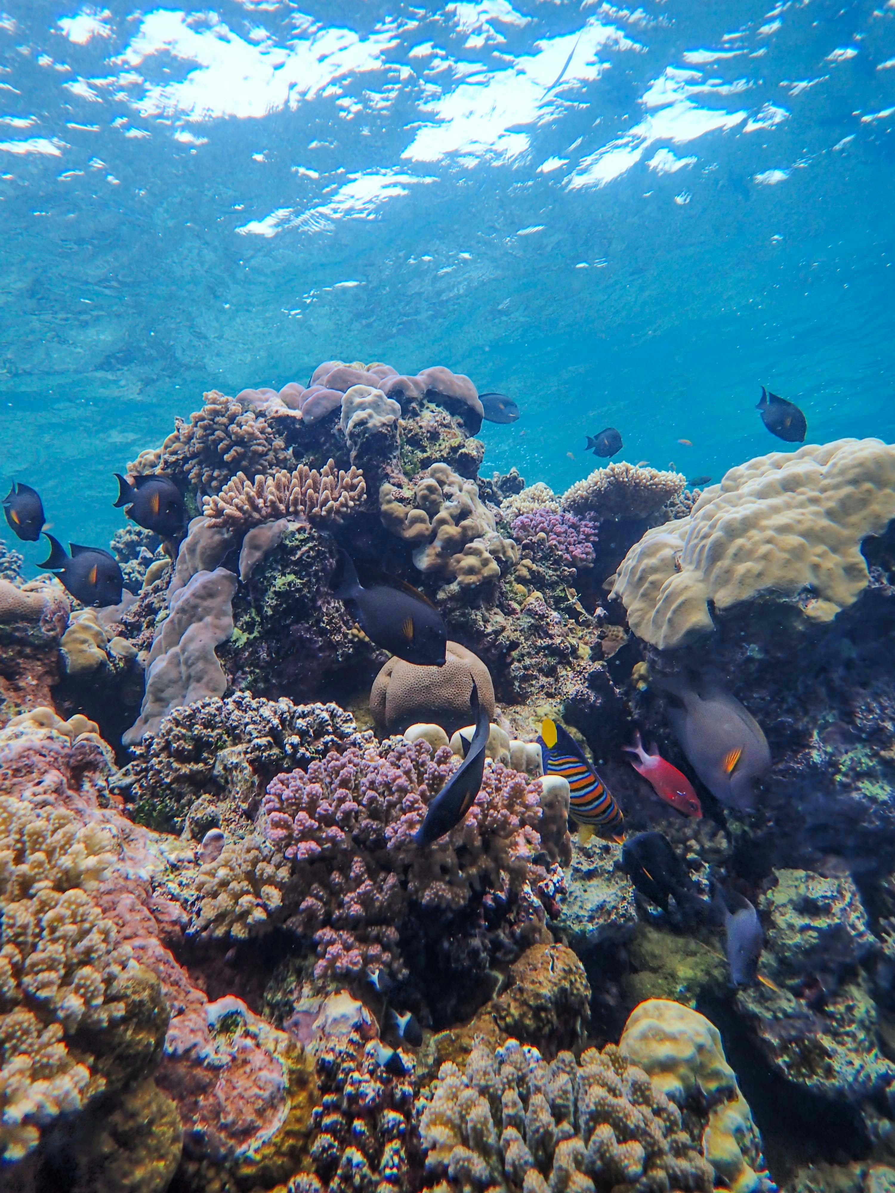 Photo by francesco_ungaro