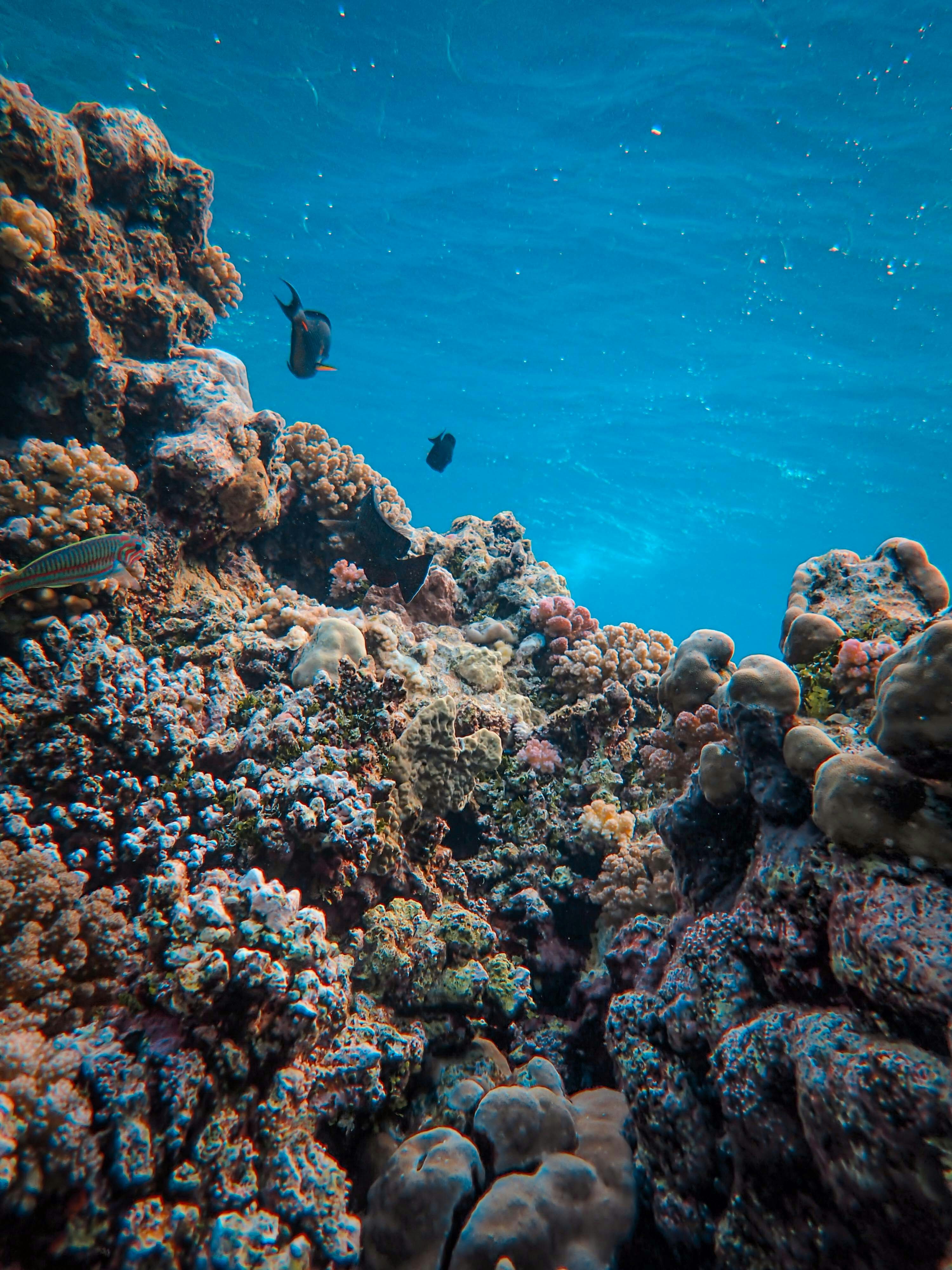 Photo by francesco_ungaro