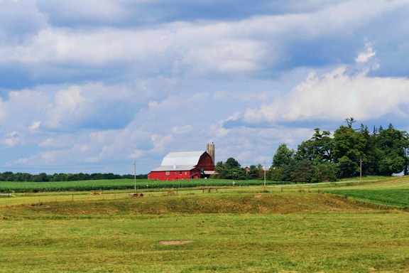 A welcoming rural farm scene with green pastures and a rustic barn under a bright sky.