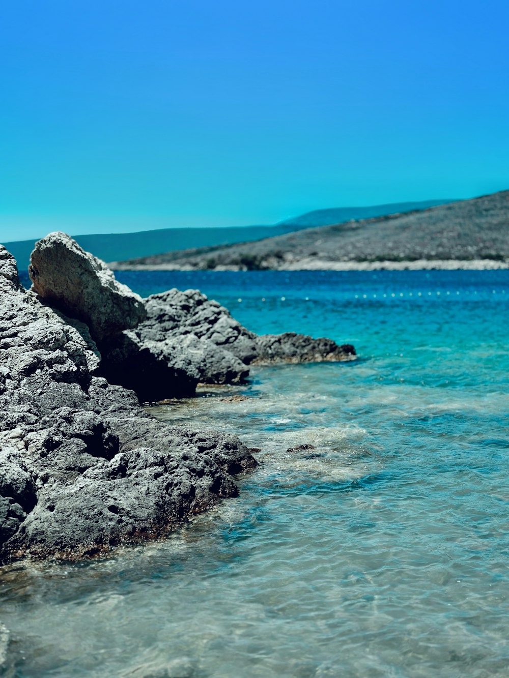 a bird sitting on a rock near the ocean