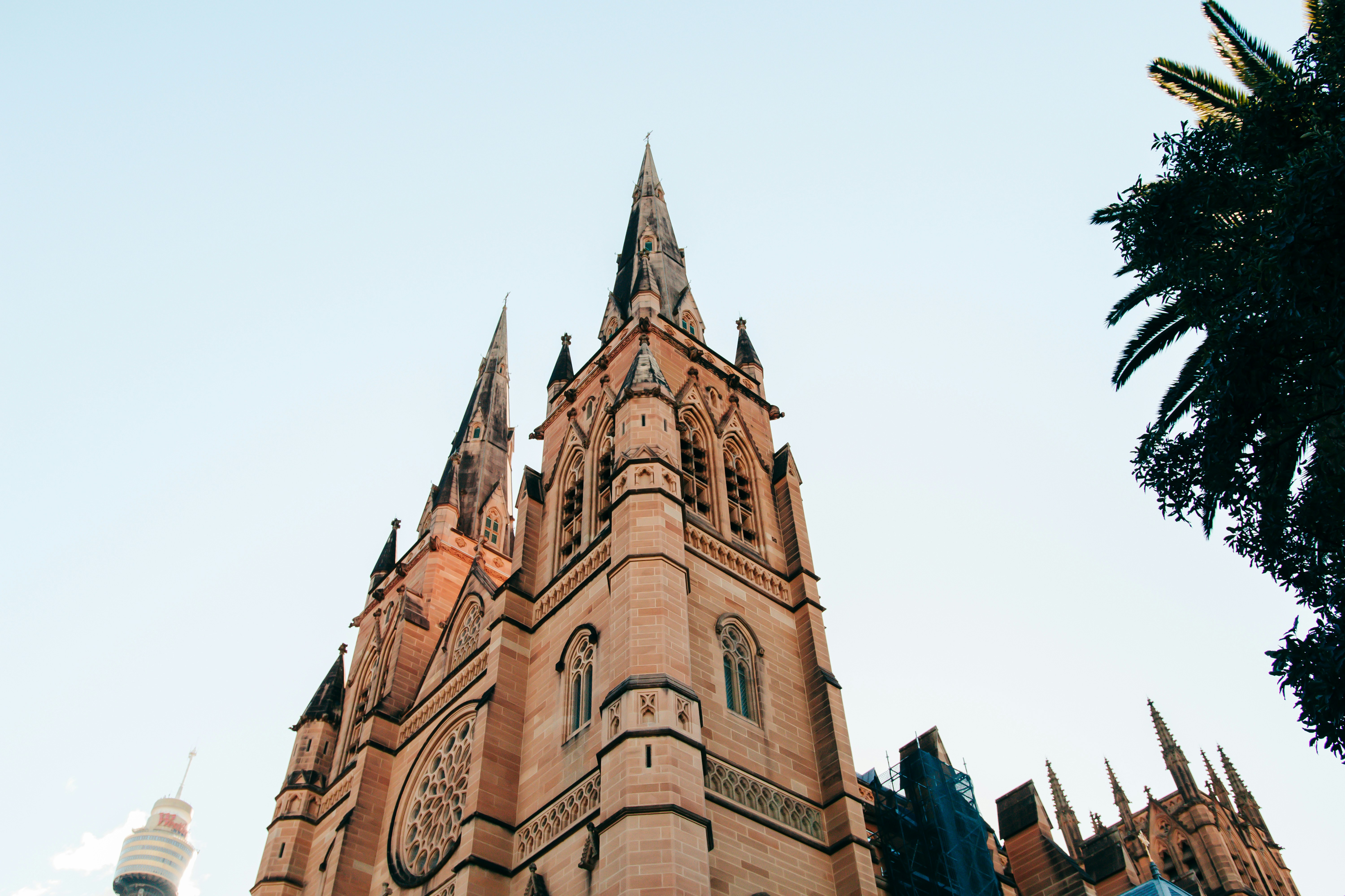 Photo by rilla_paris