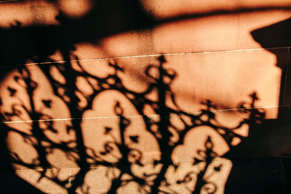 a shadow of a clock on a wall