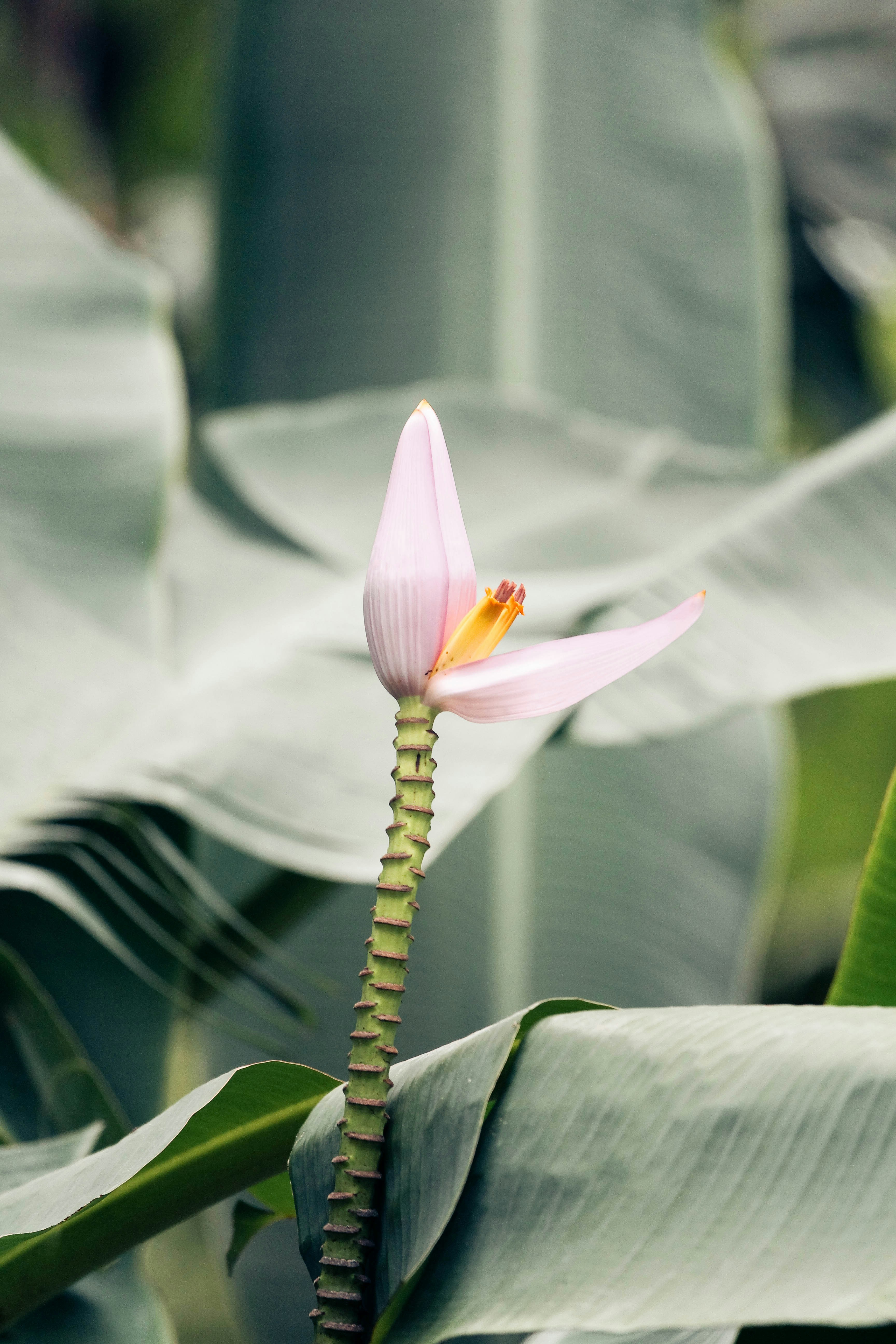 Photo by litemessmor