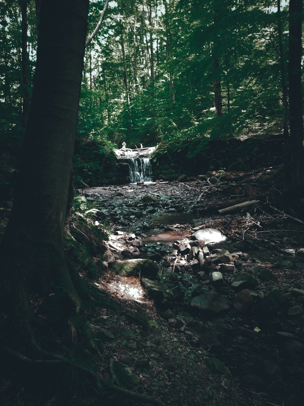 a small waterfall in the middle of a forest