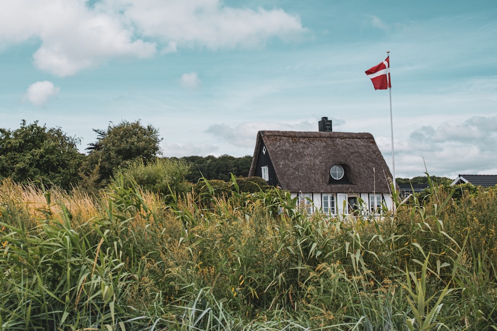 a house with a thatched roof and a red flag