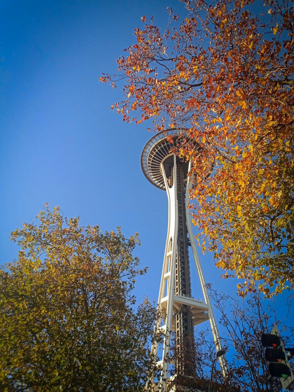 a tall tower with a tree in front of it