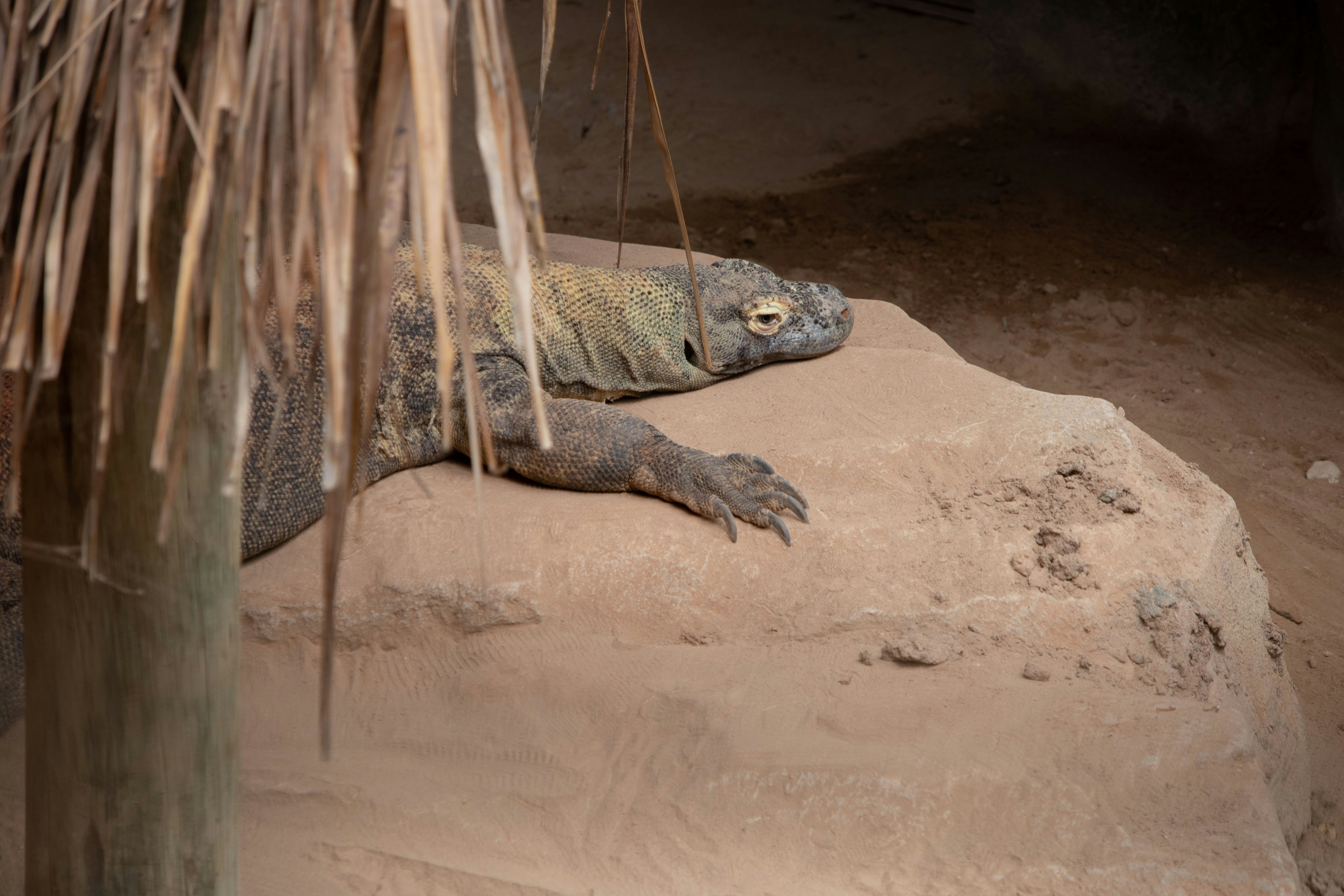 Photo by lascioliasia