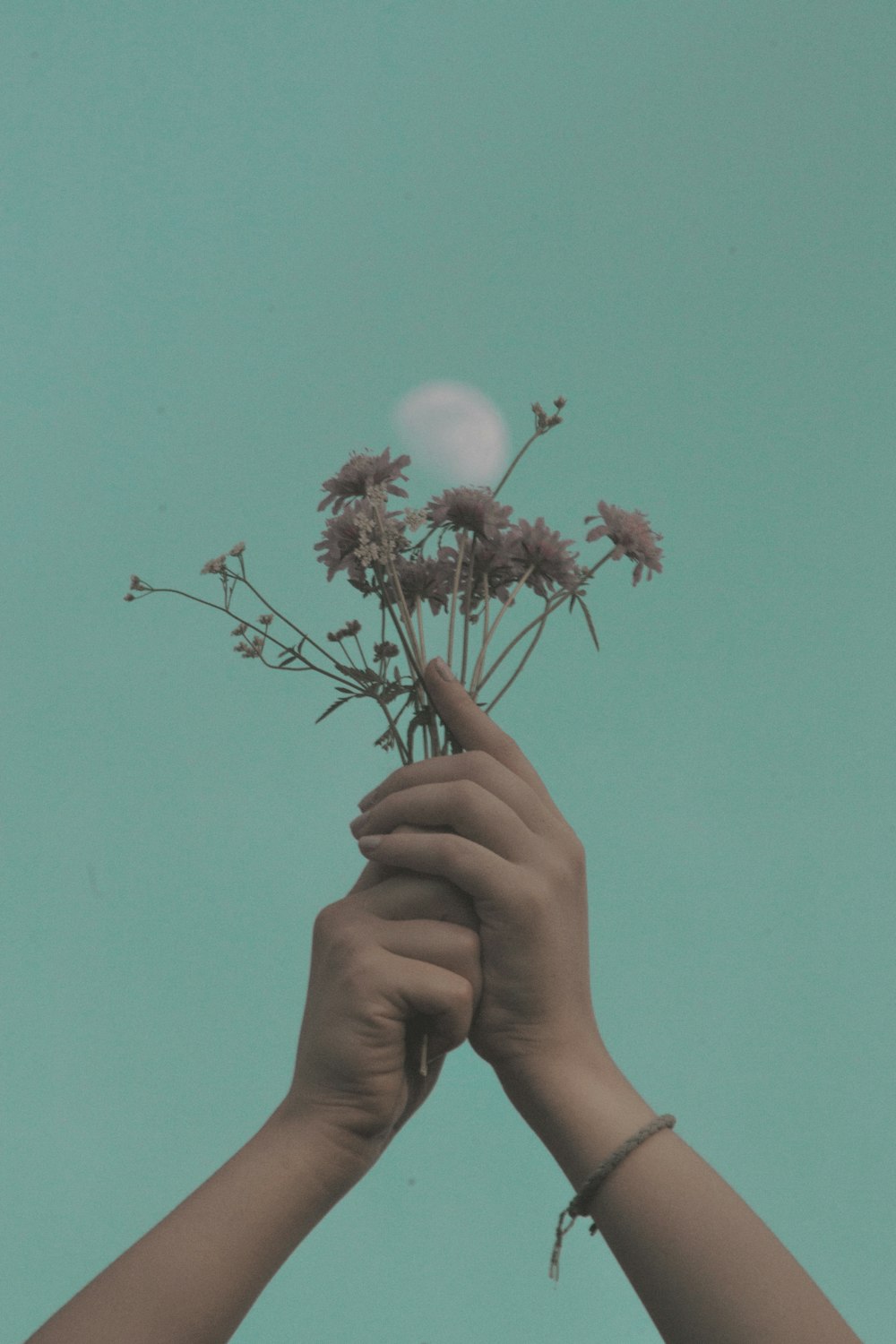 a person holding a bunch of flowers in their hands